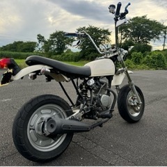 【HONDA エイプ】80ccボア登録 アップハン、社外Fディスク仕様 実動車 の画像