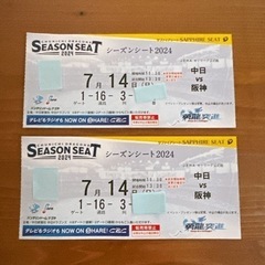 中日vs阪神　7月14日　ペア　　　　　　サファイヤシート　通路側　 前から3列目