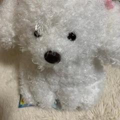 ぬいぐるみ