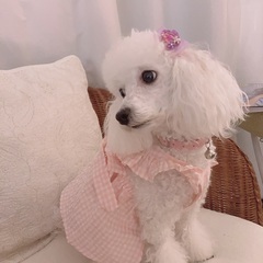 🌟目黒西口1分エステ♪口コミ高評価💕癒し担当ミューズちゃんとお待...
