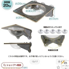 猫様のハンモックの画像