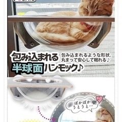 猫様のハンモックの画像