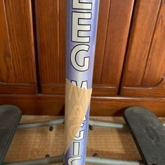 スポーツ フィットネス、レッグマジックトレーニングの画像