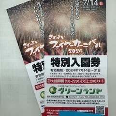 グリーンランド　チケット２枚
