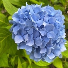 7月9日（火)飲んで歌って楽しもう🎵【りばいぶ】