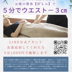 🉐内臓整体師の肝臓マッサージモニター