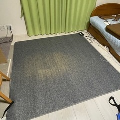 お相手決まりました　電気カーペット