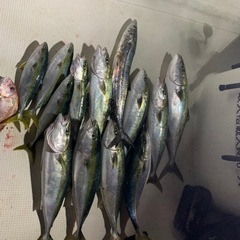 船釣りメンバー募集 − 広島県