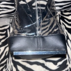 ZARAバックの画像