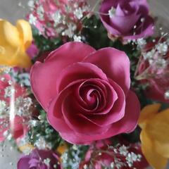 家具 インテリア雑貨/小物 花瓶の画像