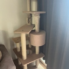 キャットタワー