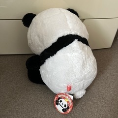  ぬいぐるみの画像