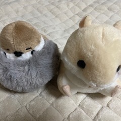 【差し上げます】くらすずめ　ころはむ ぬいぐるみ