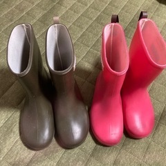 引取先決まりました⭐︎
