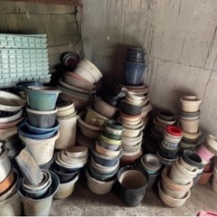 中古　植木鉢募集します  2025年３月〜ストップ中  　 の画像