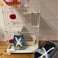 ペット　猫　
ゲージ