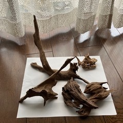 流木セット5点