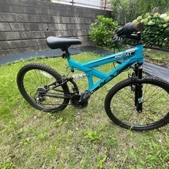 【海外品Gauntlet 自転車 マウンテンバイクの画像