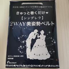 2way　美姿勢ベルト
