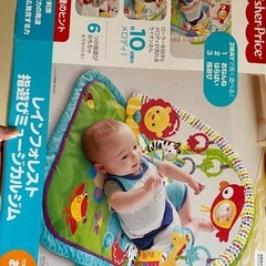 Fisher Price レインフォレスト指遊びミュージカルジムの画像
