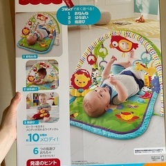 Fisher Price レインフォレスト指遊びミュージカルジムの画像