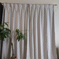 遮光　カーテン　美品　3枚　105×215センチ