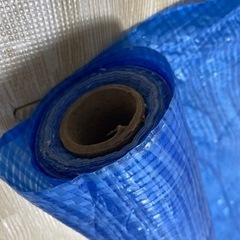 ブルーシート
の画像