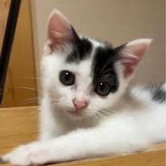 生後2ヶ月の男の子