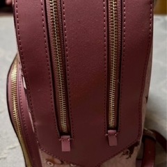  MICHAEL KORS JET SET GIRLS JAYCEE LARGE BACKPACK の画像