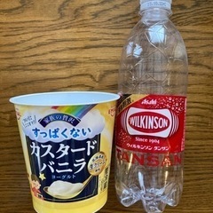 ヨーグルトの空容器　　の画像