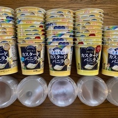 ヨーグルトの空容器　　