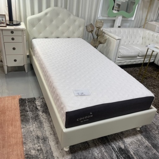 Seitai:Entertainment Show DVD 鋼鉄魂 クリアランス