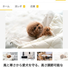 愛犬用椅子 「DUPJA」