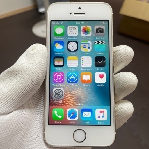 知育玩具 5024 ip 5S 32GB