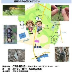昆虫採集体験