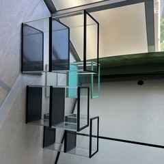 メダカ　水槽　バラ売り６００円〜の画像