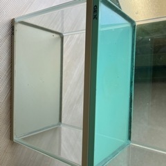 メダカ　水槽　バラ売り６００円〜の画像