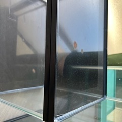 メダカ　水槽　バラ売り６００円〜の画像