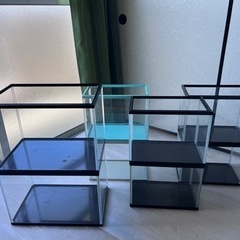 メダカ　水槽　バラ売り６００円〜の画像