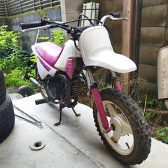 YAMAHA　PW50  本物！の画像