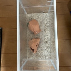 水槽あげますの画像