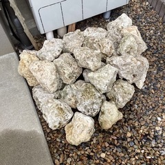 琉球石灰岩