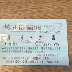 新潟から大宮　時間指定の指定席新幹線チケット
