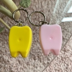 キーホルダー　デンタルフロス用　携帯に便利　2個セットの画像