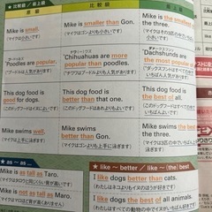 challenge 中学校2年生　進研ゼミ　ベネッセ　英語の画像