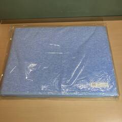 POLA 快適吸湿マット・センサー付きふとん乾燥マット（シングルサイズ90×180cm）の画像