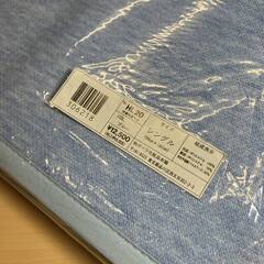 POLA 快適吸湿マット・センサー付きふとん乾燥マット（シングルサイズ90×180cm）の画像