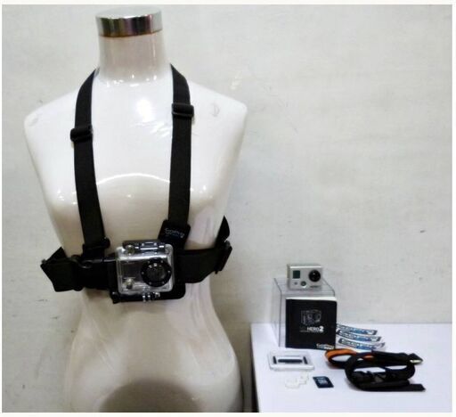 GoPro　HD　HERO2　動作良好　ビデオカメラ　ハウジング　防水ケース付き　アクションカメラ　ゴープロHD ヒーロー2