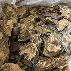 アクアリウム　レイアウト　気孔石