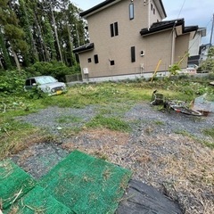 緊急　このあと草刈と刈草まとめ